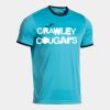 HFC Combi Premium T-Shirt (Juniors) Thumbnail